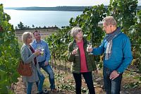 Ochutnávka vín na vinici u jezera Großräschener See (c) Tourismusverband Lausitzer Seenland, Nada Quenzel