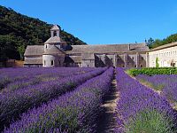 Francie 5x jinak: poznejte prosluněnou Provence, tajemnou Bretaň, nedobytnou Korsiku, alsaské vinice a alpské štíty