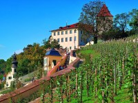 Pražský hrad: Svatováclavská vinice