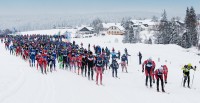 Šumavský skimaraton Kooperativy 2014 - Kvilda