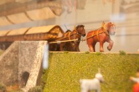 Muzeum - model "koňky"