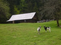 Skanzen Vychylovka