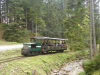 Lesní úzkorozchodná železnice
