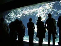 Monako - oceanografické muzeum