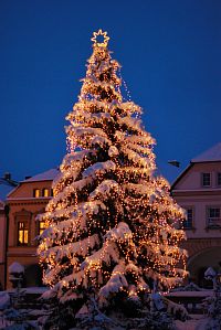 Vánoční strom na Mírovém náměstí v Kadani Advent Kadaň 2018