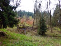 Jackel baude - bývalá turistická chata četníka Jackla, dnes divočina a na první pohled nezpozorovatelné zbytky