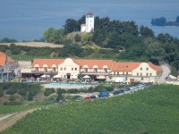 Vinařství u Kapličky a Dalibor