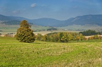 Bikepark Větrný vrch