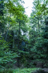 Freudenstein, možná ztracený Gesenek