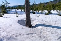 Přibližná výška přírodního sněhu