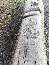 Dřevěný plán Arboreta