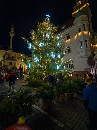 Vánoční strom u radnice model 2022