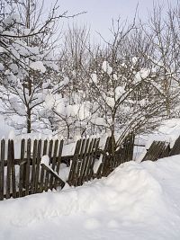 Pod návaly sněhu mizí i ploty