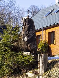 Medvěd evidentně ztratil hlavu