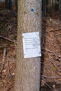 Tabulka nabádá k zachování lesa
