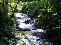 Borový potok