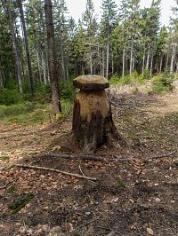 Když dřevorubec tvoří