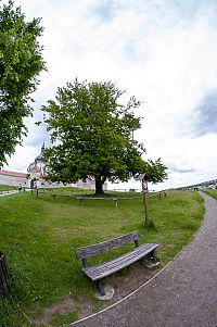 Žďár nad Sázavou – Buk u Zelené hory