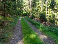 Pohodlná lesní cesta i na horské kolo