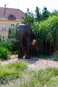 Dřevěný slon by potřeboval ošetření proti houbám