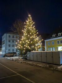 Jeden z mnoha vánočních stromů v Halleinu