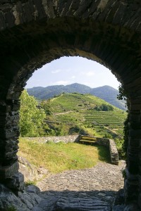 Pohled z hradní brány