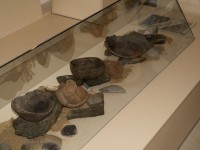 Archeologické nálezy ze stavby obchvatu Postřelmova