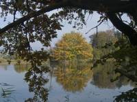 Podzimní rybníky