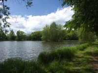 Velký rybník