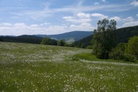 Údolíčko Tiché Orlice a Suchý vrch