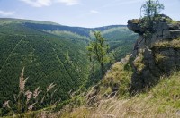 Pohled do údolí Borového potoka