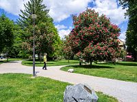 Jarní park u Barborky