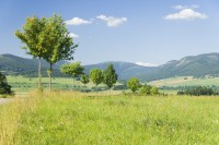 Králický Sněžník - rozhledna – Śnieżnik Kłodzki – Wieża widokowa