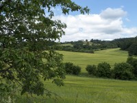 Od cesty nad Bohutínem