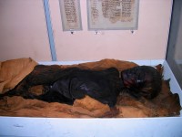 Mumie v Národním muzeu