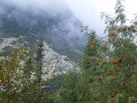 Vysoké Tatry - cesta k Teryho chatě