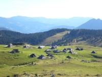 Velika Planina