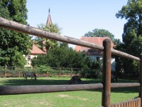 Zámecký park