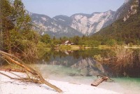 Procházka kolem jezera Bohinj