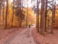 Podzimní cestou