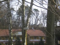 Pohled na kapli z lázeňského parku