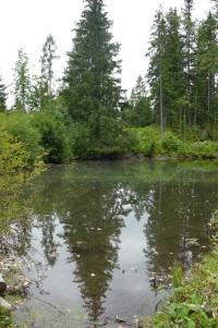 Menší rybník