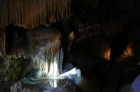 Smuteční vrba; vpravo chodba vedoucí do části jeskyně zvané Labyrint