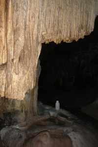 Jeden ze symbolů Ochozské jeskyně - Smuteční vrba