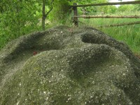 Kamenné mísy pod třešní