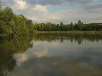 Xaverovský rybník