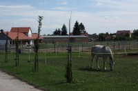 Výběhy pro koně v areálu Hanáckého dvora v Polkovicích