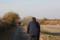 Cyklostezka směrem z Morkovic ke Kovalovicím