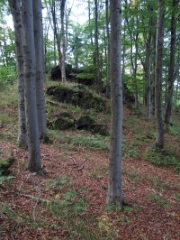 Pastviny - skalní útvary na okraji lesa