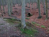 Chřiby - Steinbachova studánka